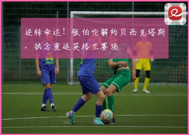 逆转命运!张伯伦解约贝西克塔斯,执念重返英格兰赛场