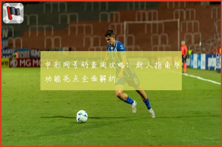 中彩网号码查询攻略：新人指南与功能亮点全面解析