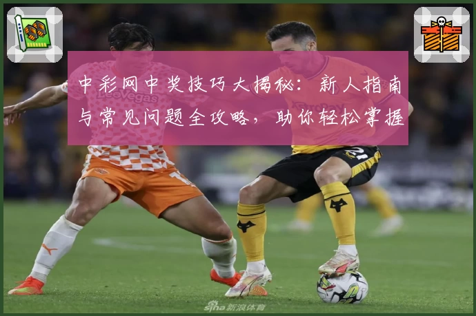 中彩网中奖技巧大揭秘：新人指南与常见问题全攻略，助你轻松掌握玩法秘诀