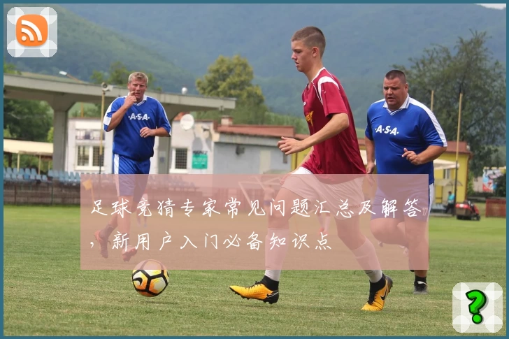 足球竞猜专家常见问题汇总及解答,新用户入门必备知识点