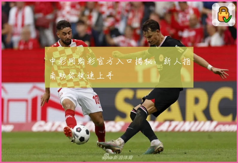 中彩网购彩官方入口揭秘，新人指南助你快速上手
