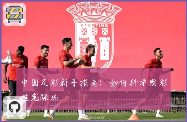 中国足彩新手指南：如何科学购彩避免踩坑