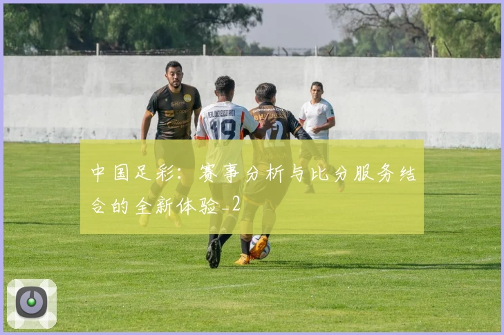 中国足彩:赛事分析与比分服务结合的全新体验_2