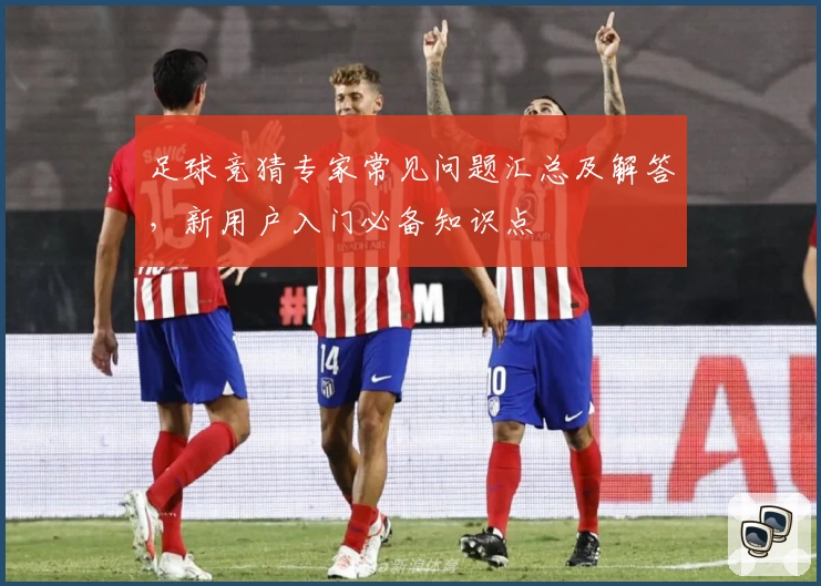 足球竞猜专家常见问题汇总及解答，新用户入门必备知识点