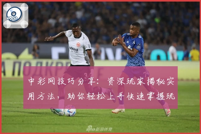 中彩网技巧分享：资深玩家揭秘实用方法，助你轻松上手快速掌握玩法秘诀