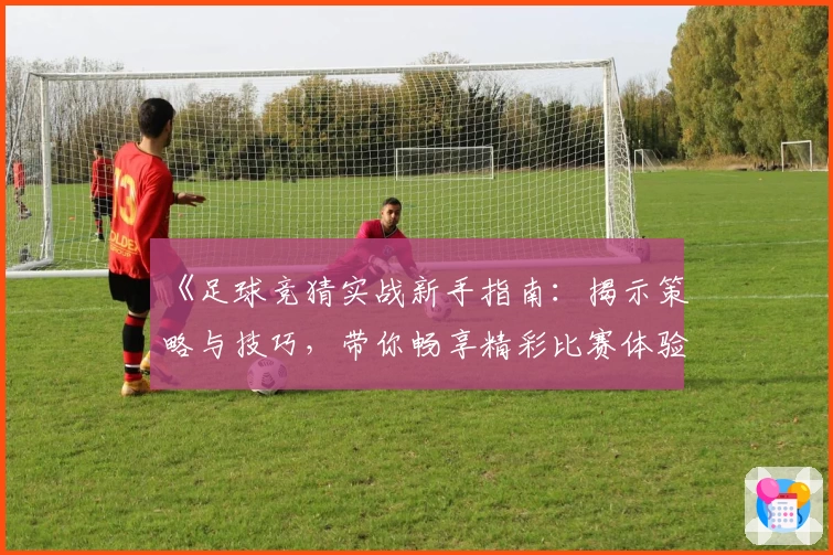 《足球竞猜实战新手指南：揭示策略与技巧，带你畅享精彩比赛体验》