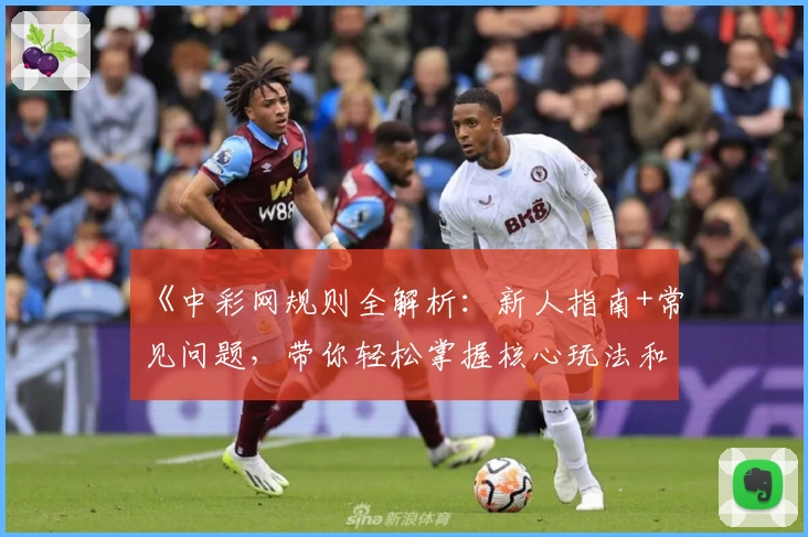 《中彩网规则全解析：新人指南+常见问题，带你轻松掌握核心玩法和操作技巧》